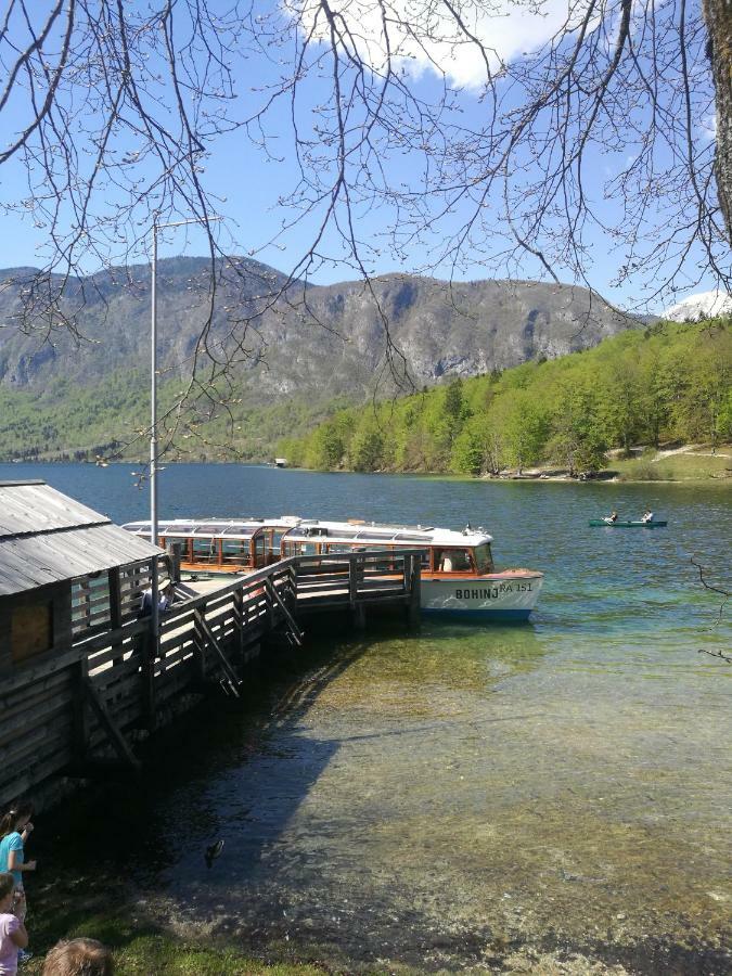 2 Studio & Apartment Cvetek Bohinj Dış mekan fotoğraf