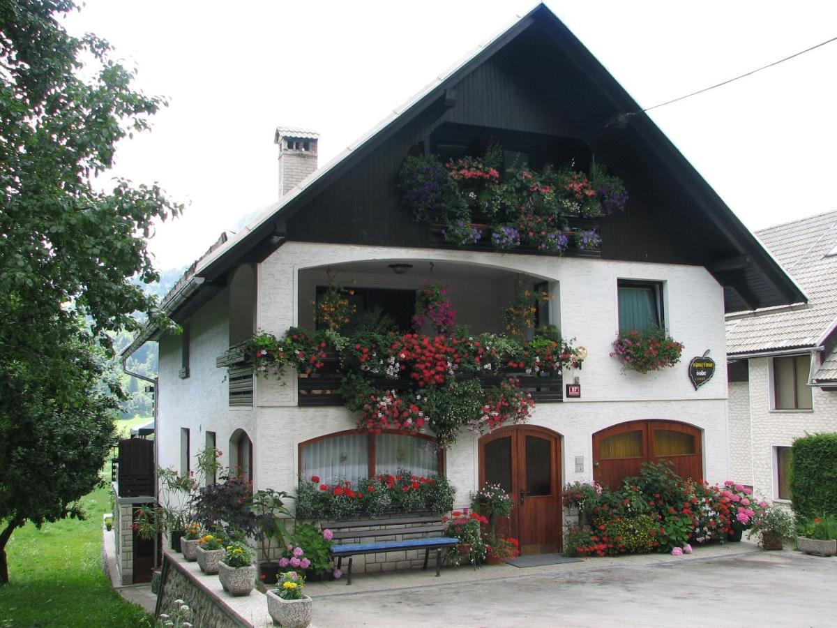 2 Studio & Apartment Cvetek Bohinj Dış mekan fotoğraf