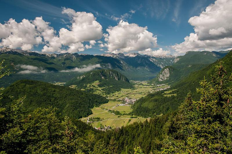2 Studio & Apartment Cvetek Bohinj Dış mekan fotoğraf