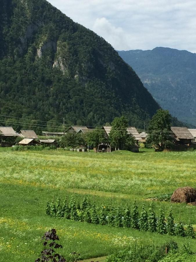 2 Studio & Apartment Cvetek Bohinj Dış mekan fotoğraf
